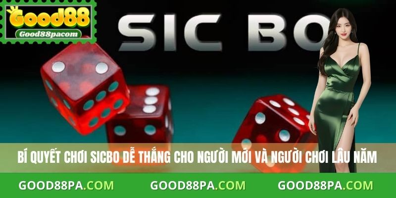 Bí quyết chơi Sicbo dễ thắng cho người mới và người chơi lâu năm