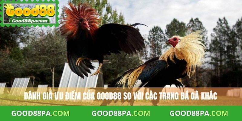 Đánh giá ưu điểm của Good88 so với các trang đá gà khác