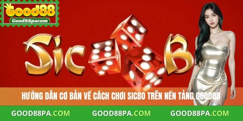 Hướng dẫn cơ bản về cách chơi Sicbo trên nền tảng Good88